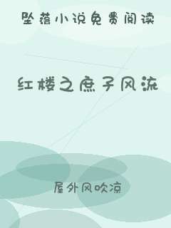 红楼之庶子风流