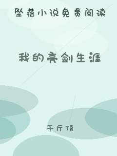 我的亮剑生涯